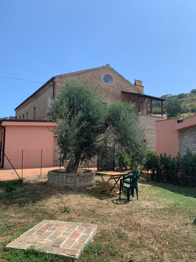 Ferienwohnung Lu Prete Campofilone Exterior foto